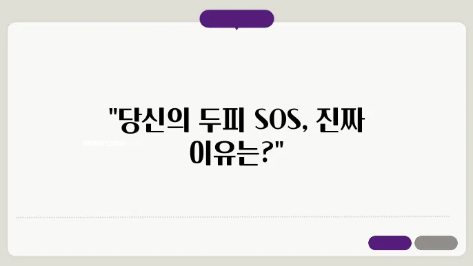 머리가 가려운 이유