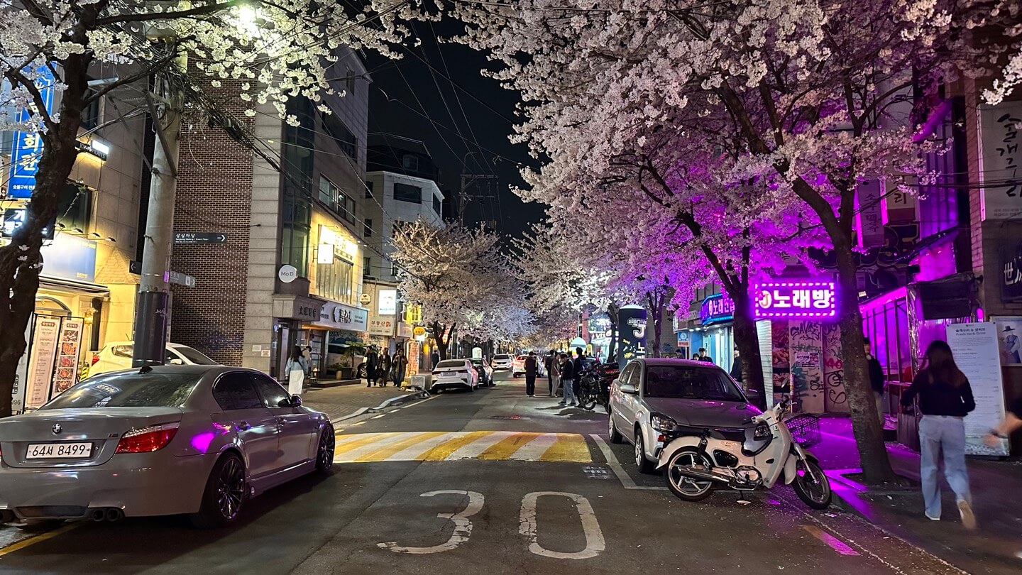 국내 여행지 추천