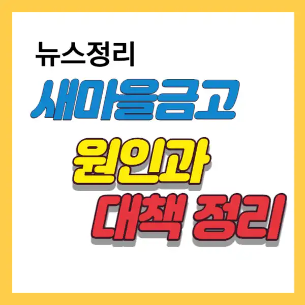 썸네일 새마을금고 이슈 원인과 대책 내용 정리
