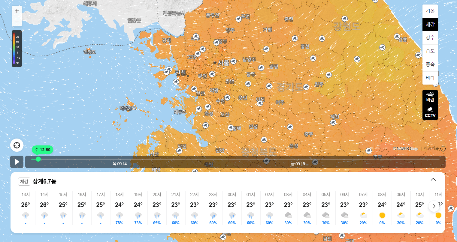네이버 날씨 예보 cctv 기능