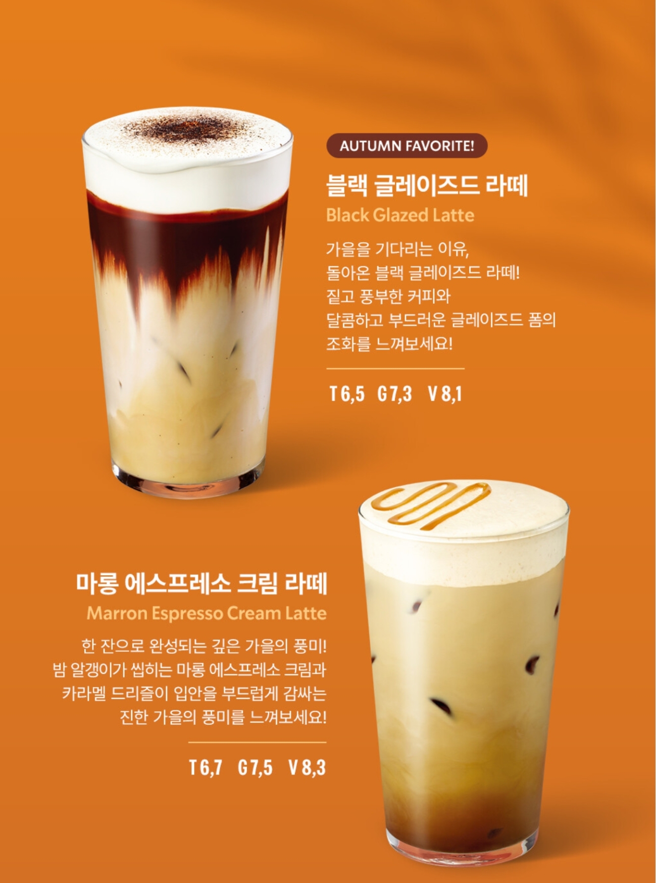 스타벅스신메뉴블랙글레이즈드라떼