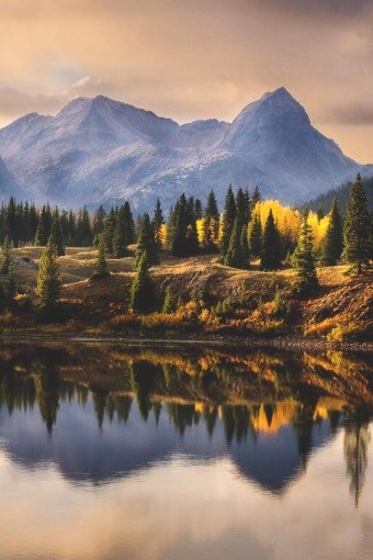 인간과 자연의 관계