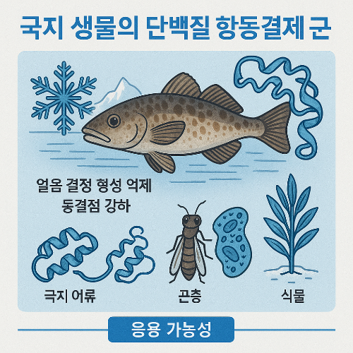항동결제2