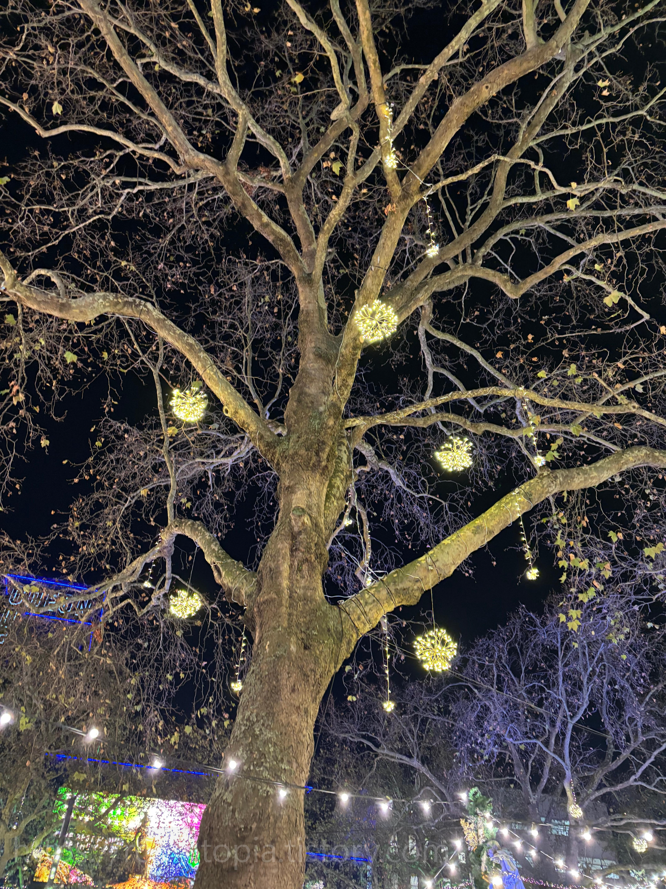 roamtopia 여행사진 20