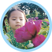 원형 테두리 만들기