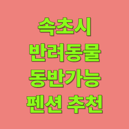 속초시 반려동물 동반가능 펜션 숙소 추천