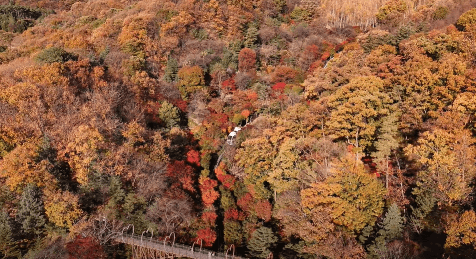 곤지암 화담숲 9월&amp;#44; 10월 단풍시기