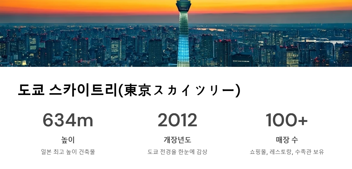 도쿄 여행 꼭 가봐야 할 관광지 BEST 5