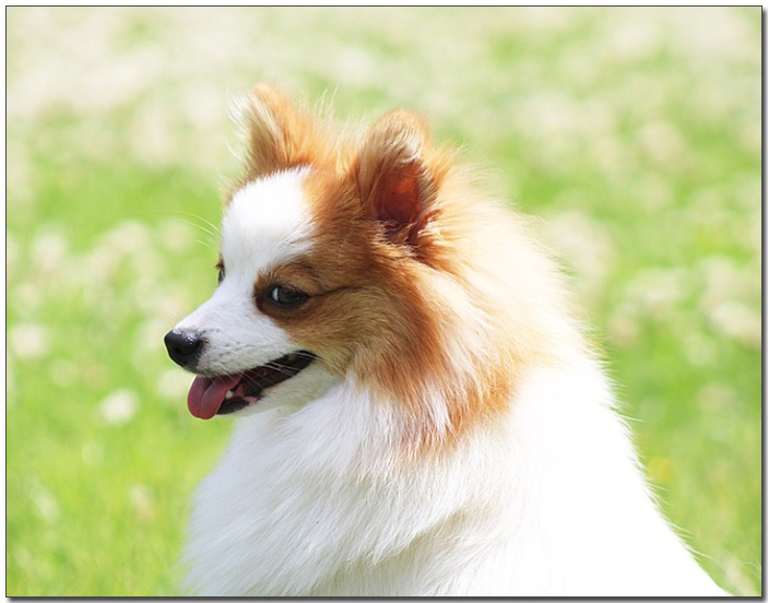 ํฌ๋ฉ๋ผ๋์ ์๋ชจ์ต