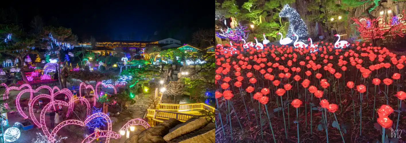 허브아일랜드 빛 축제 사진