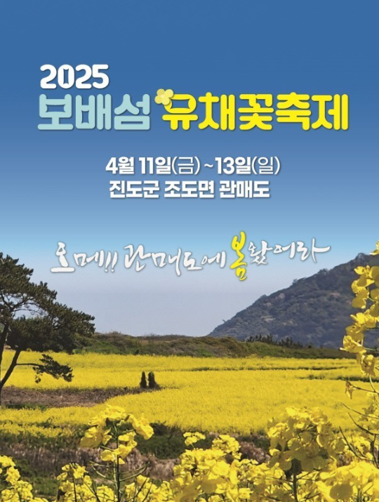 보배섬유채꽃축제