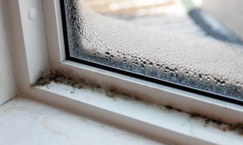 창틀 검은 곰팡이