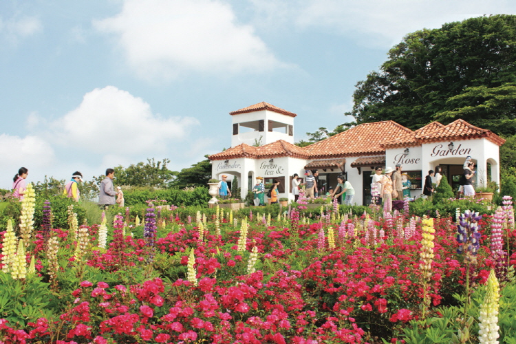 제주 에코랜드 테마파크