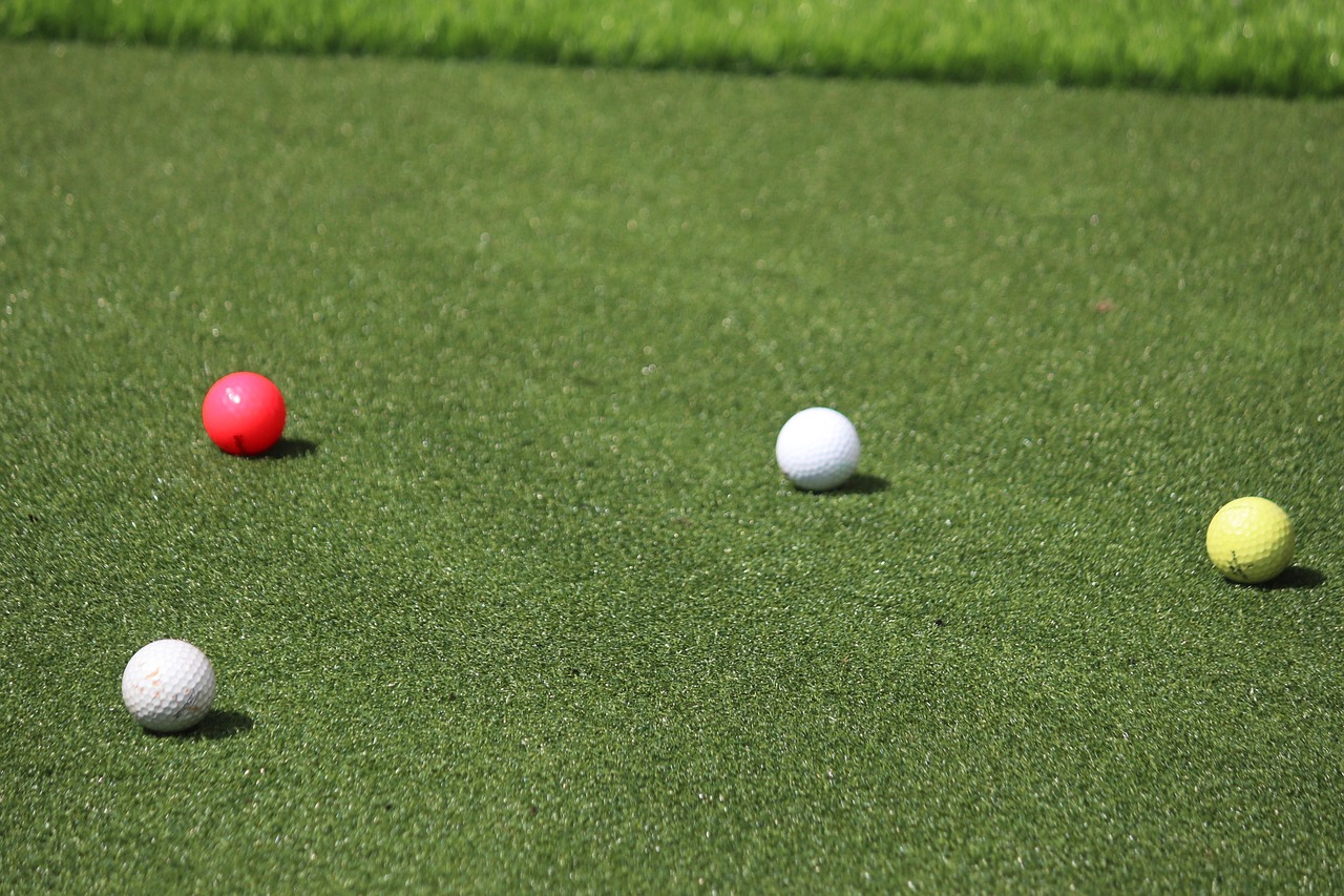 팰드 위에 놓인 골프공 이미지