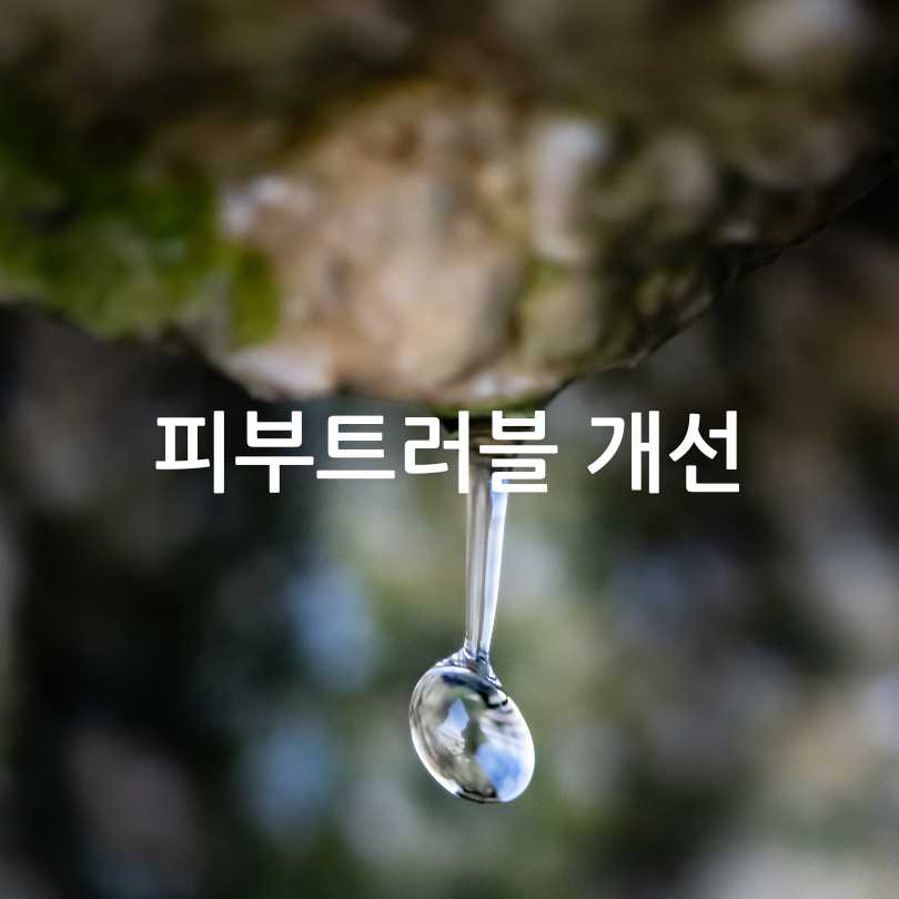 매스틱 효능,부작용,복용법
