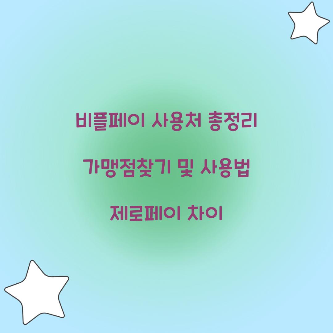 비플페이 사용처