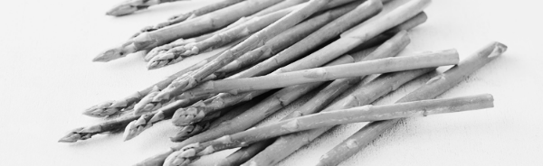 백종원 마늘쫑 장아찌 외: 아스파라거스 재배방법, 아스파라거스 키우기