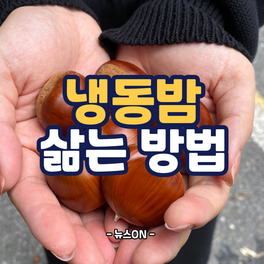 냉동밤 삶는 방법