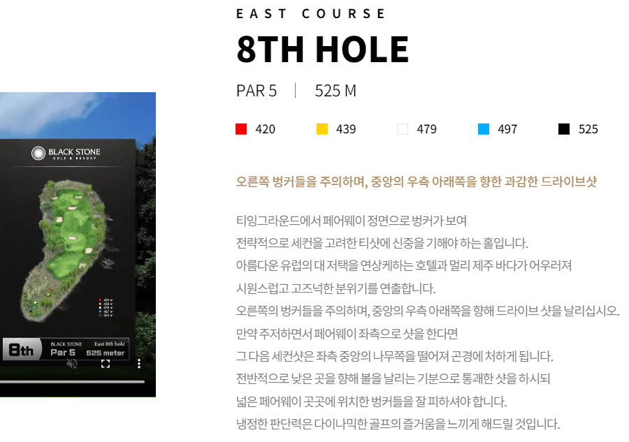 블랙스톤제주 골프클럽 동코스 8