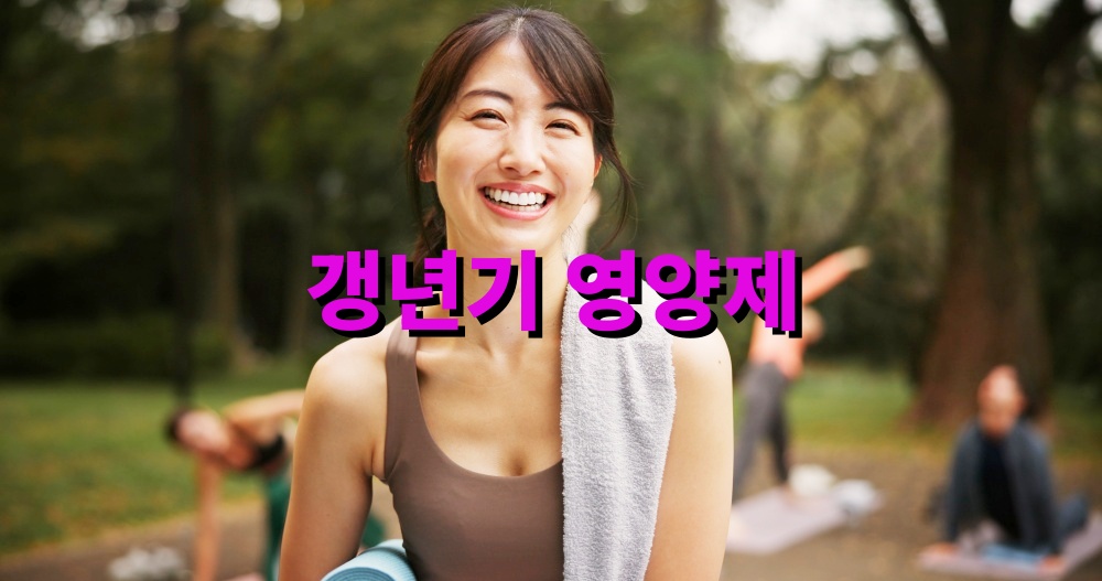 갱년기 영양제 정리 비타민