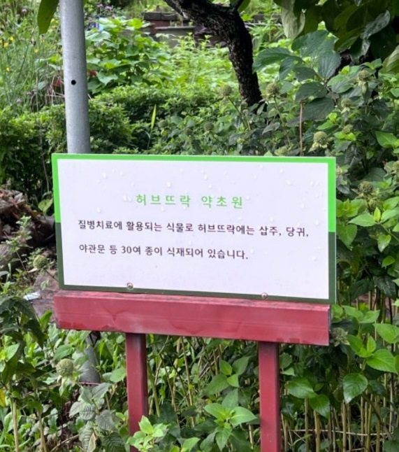 치유정원-허브뜨락