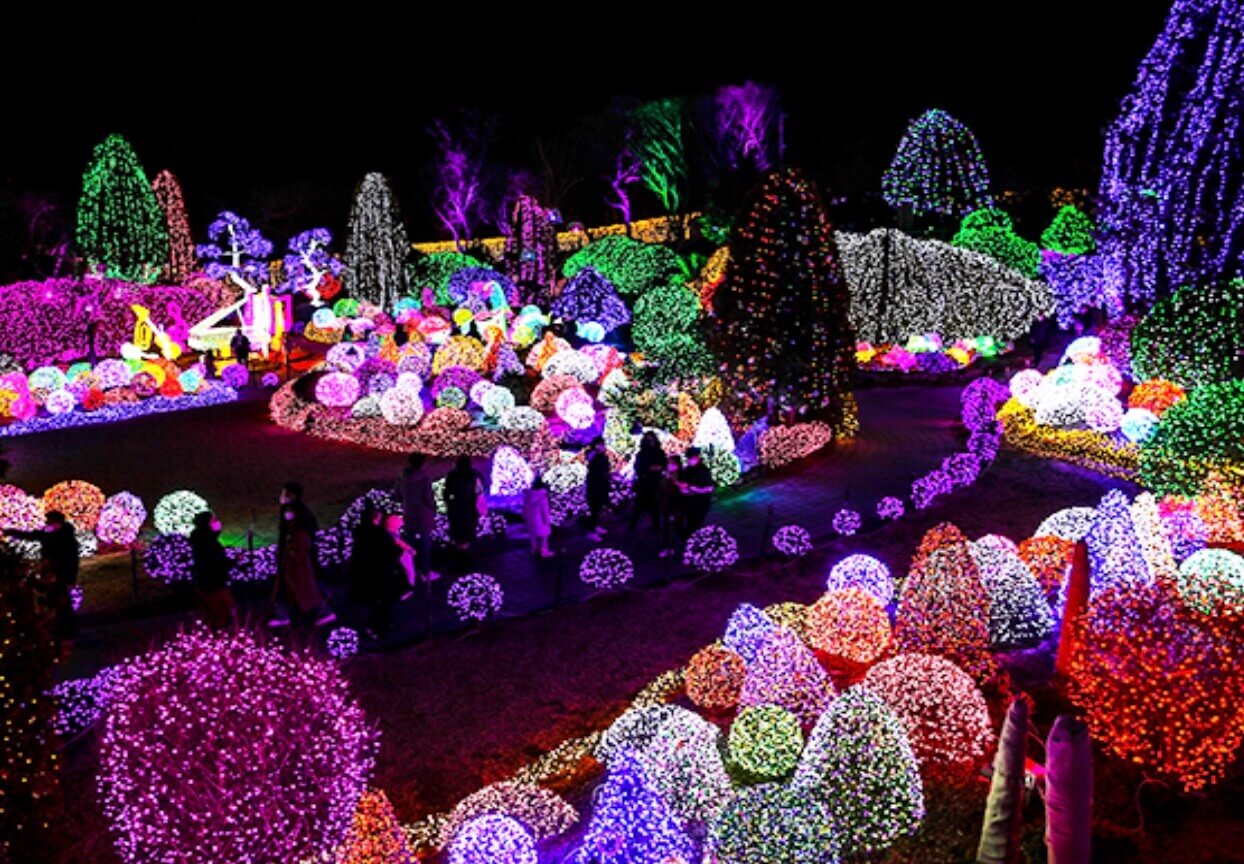 가평-아침고요수목원-오색별빛정원전