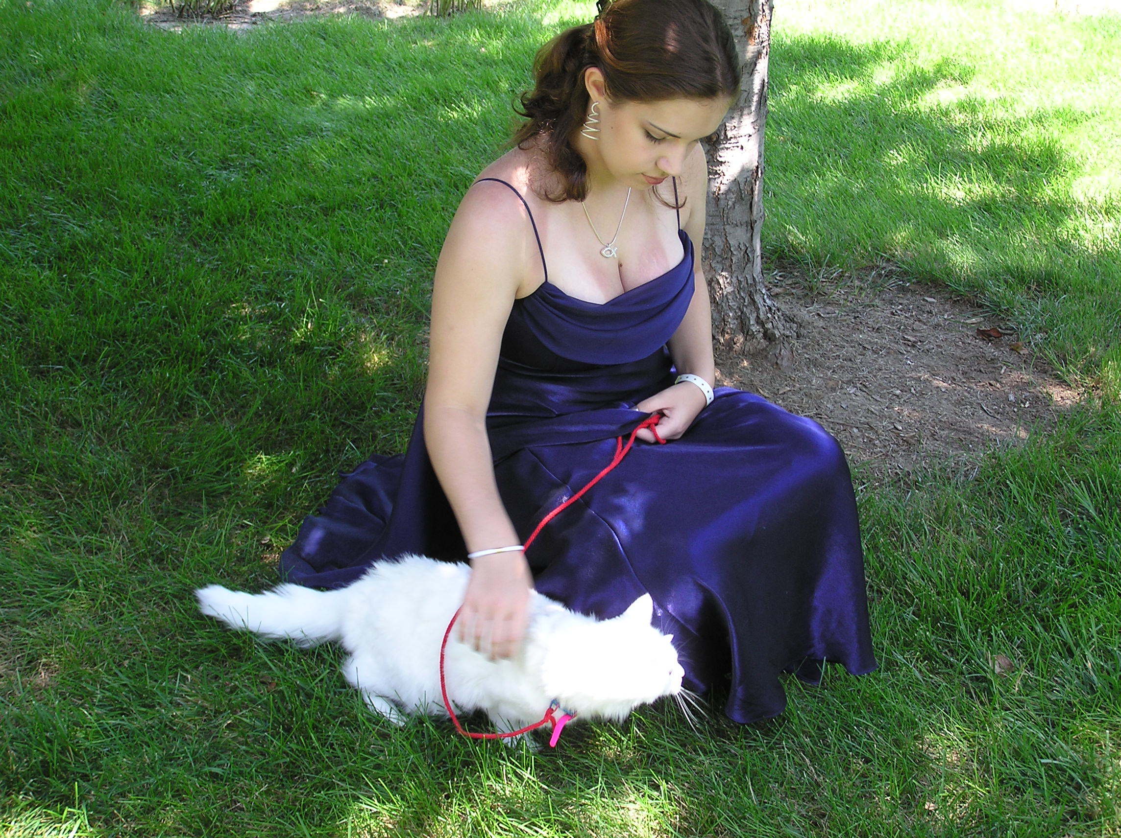 주인과 산책 나온 반려동물