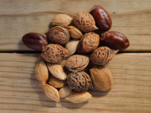 신장에 좋은 음식 나쁜 음식