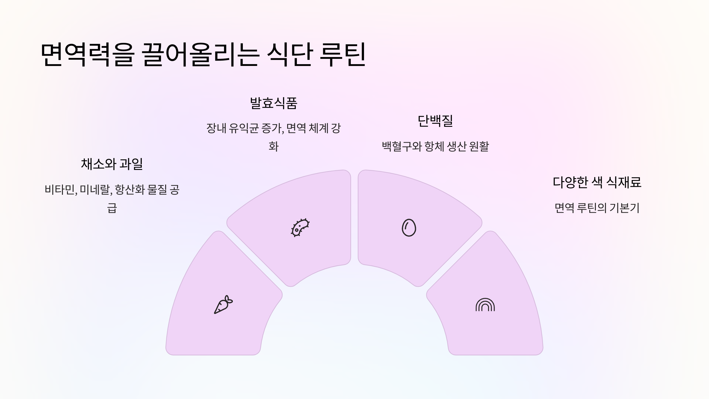 🥗 면역력을 끌어올리는 식단 루틴
