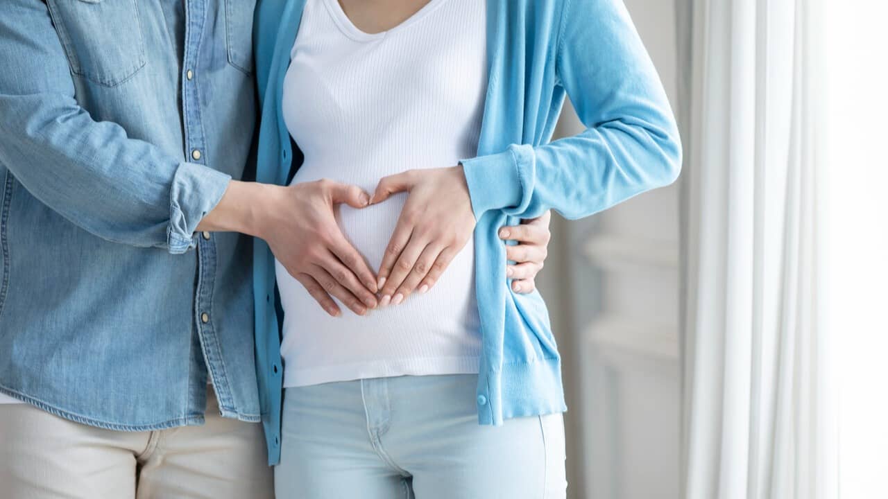 생식면역과 임신 계획