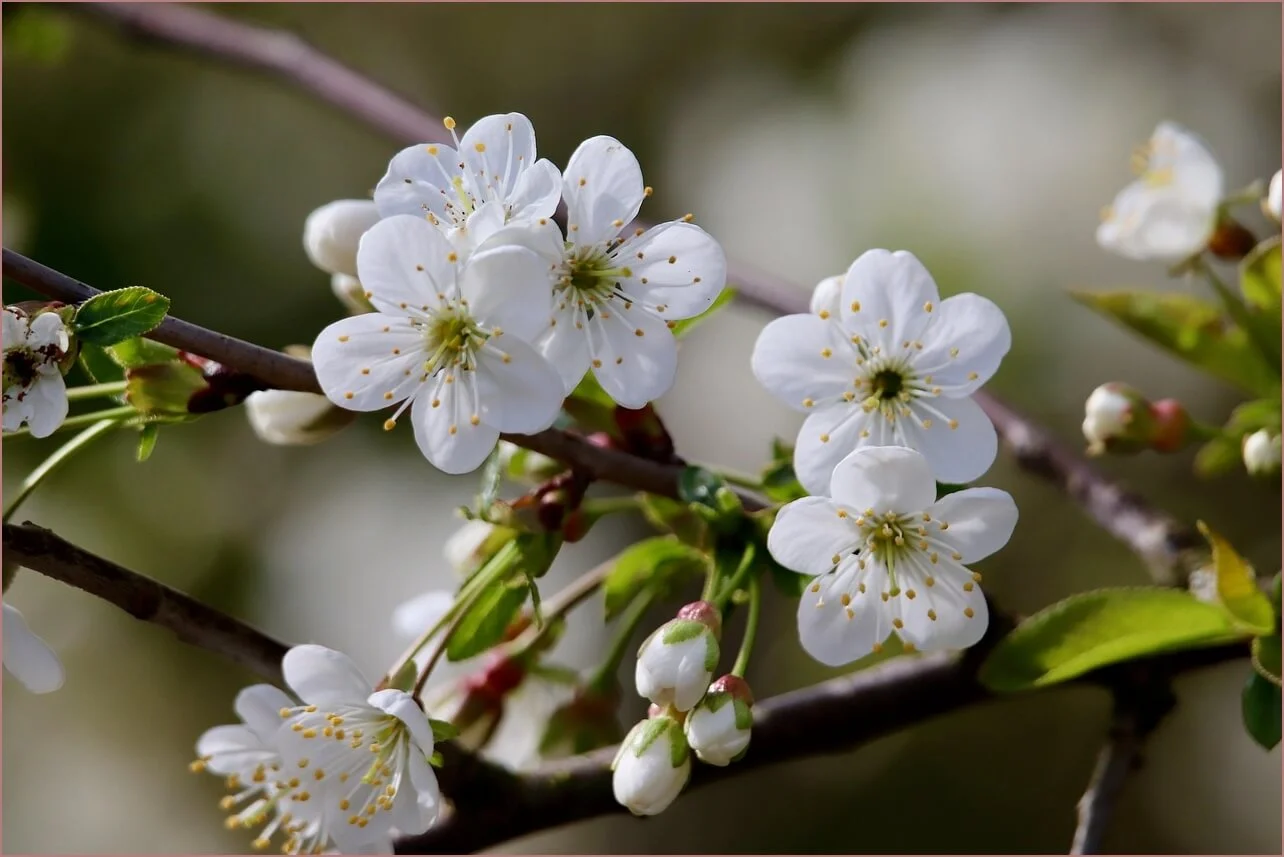 우리은행 예금금리