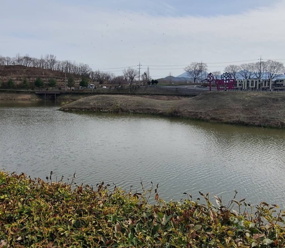 함안연꽃테마파크 사진