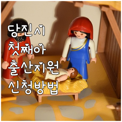 당진시 첫째아 출산 지원, 2025년..