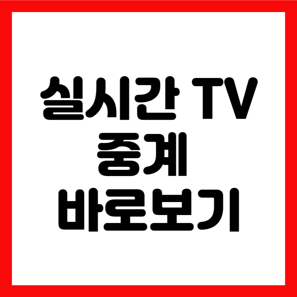 실시간TV중계