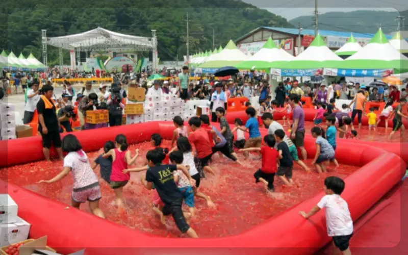 퇴촌 토마토 축제_16