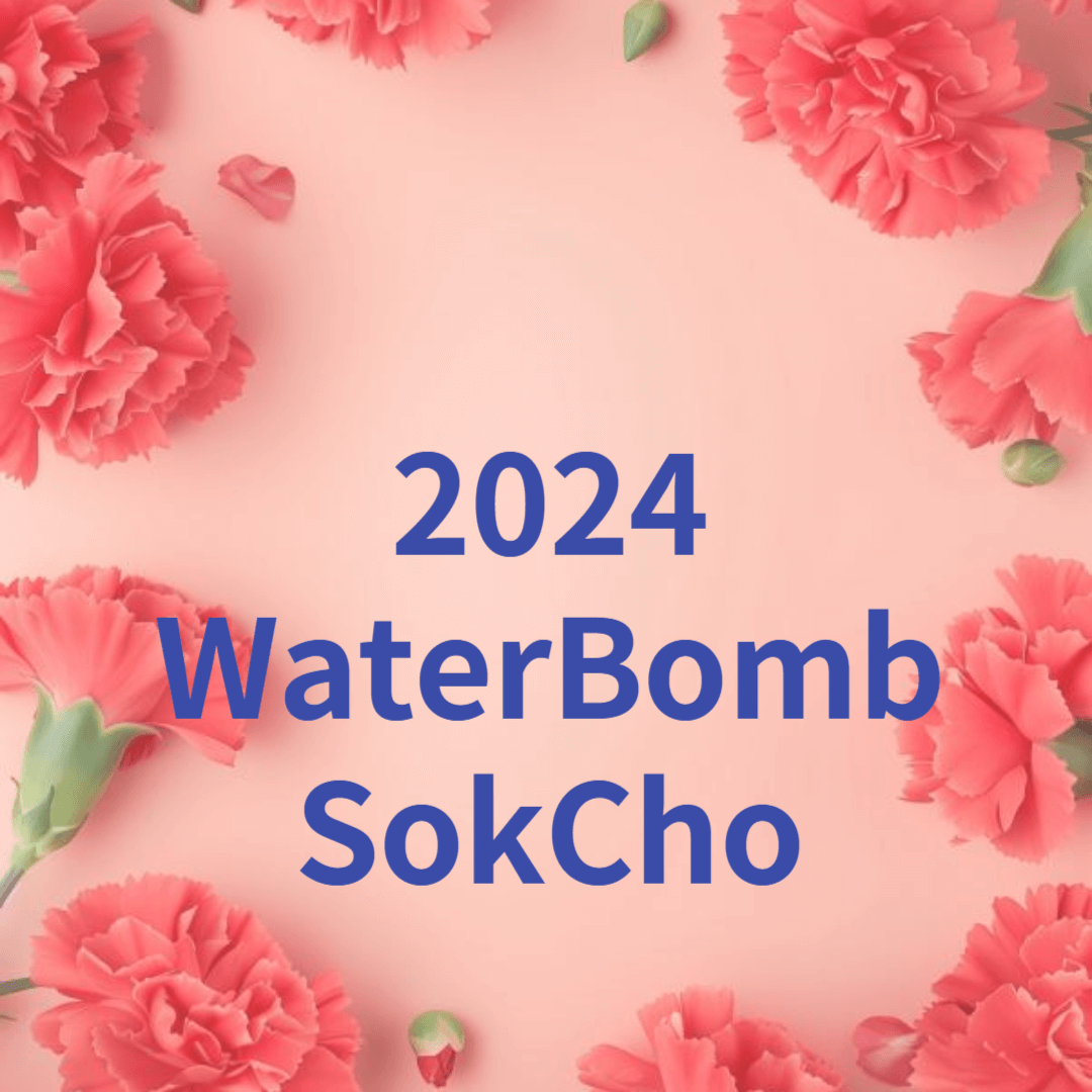 워터밤 속초 2024, 정보, 티켓예매, 출연진