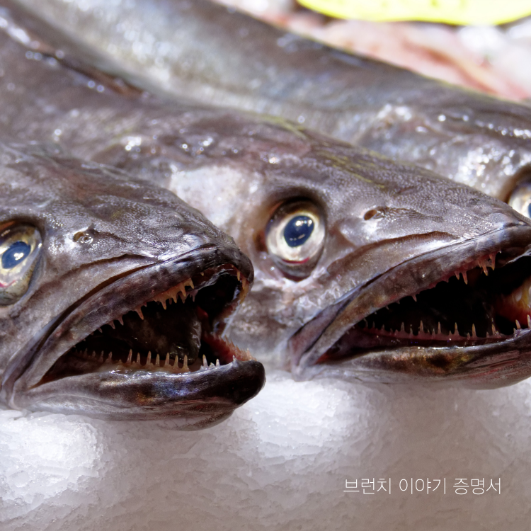 대구