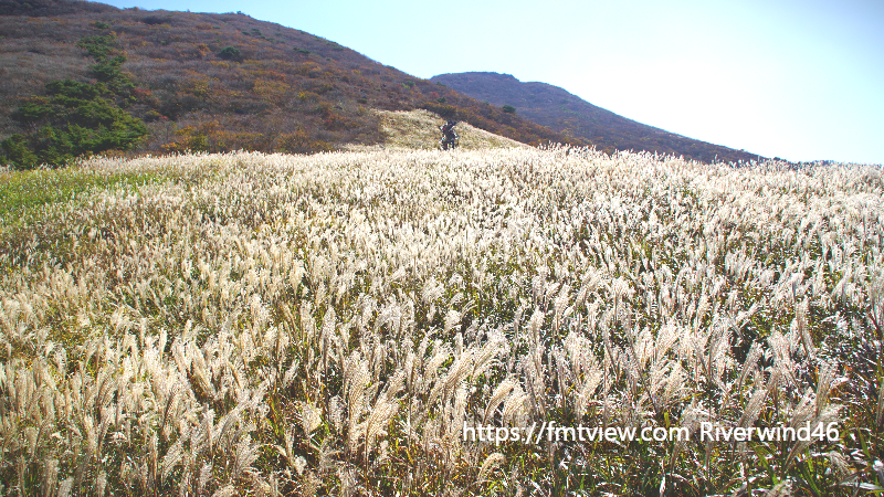 영남알프스 간월재의 가을