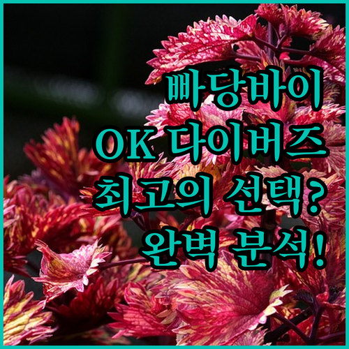 빠당바이 'OK 다이버즈 리조트 & 