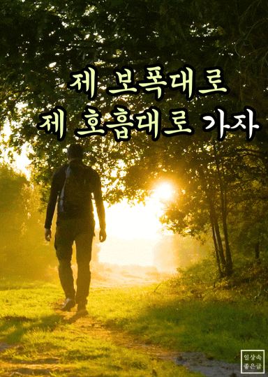 세상과 발맞추지 않고 나만의 속도로 걸어가는 명언 이미지