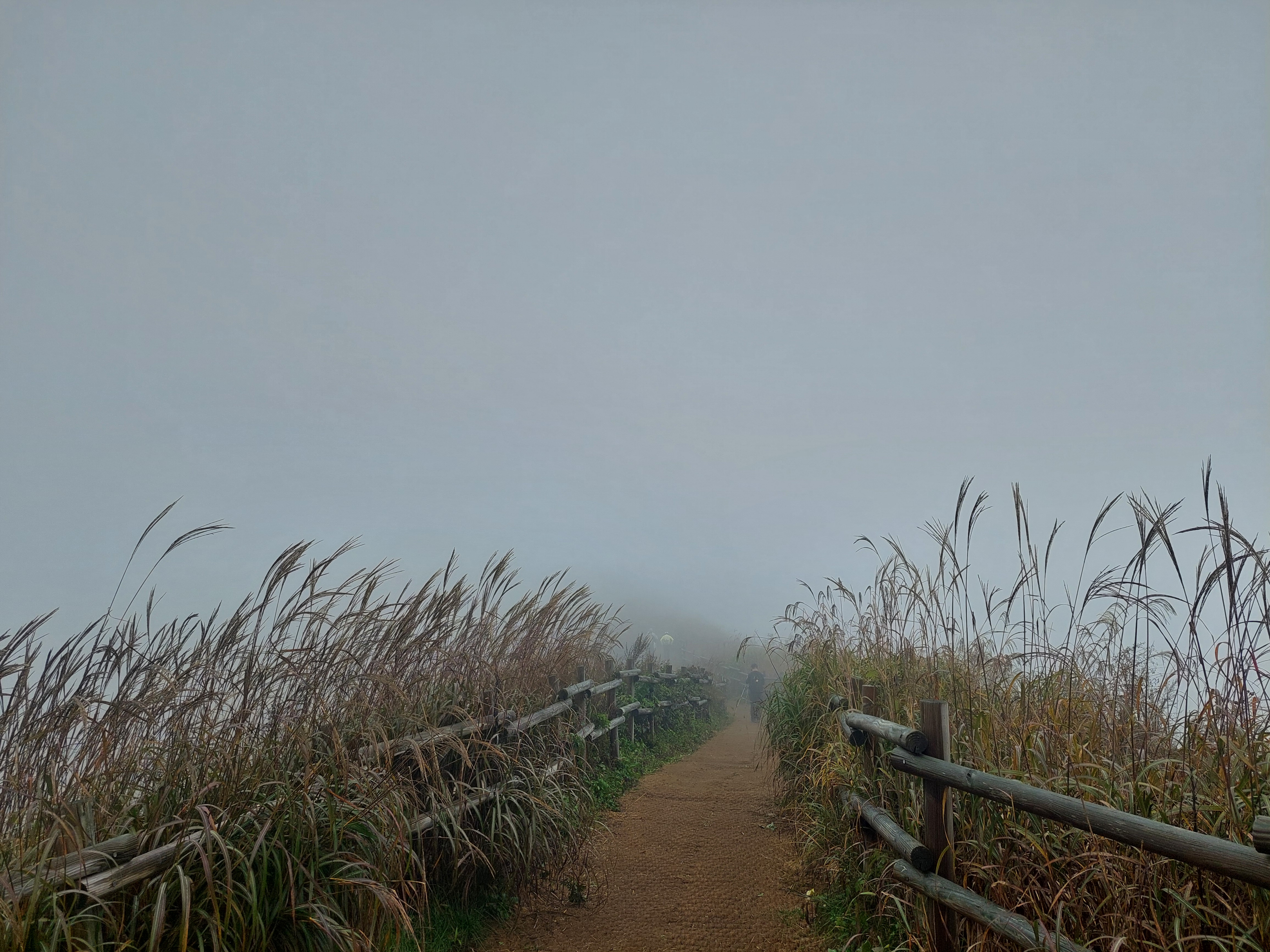 민둥산