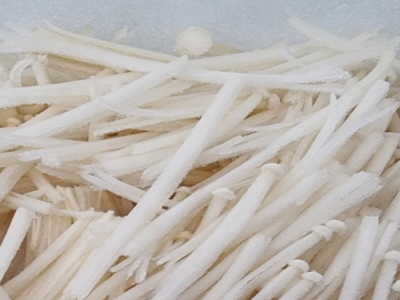 팽이버섯 사진23