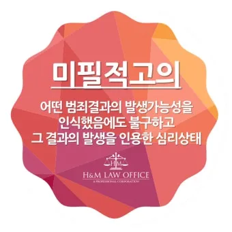 미필적 고의 뜻과 반대말 처벌 자료집_14