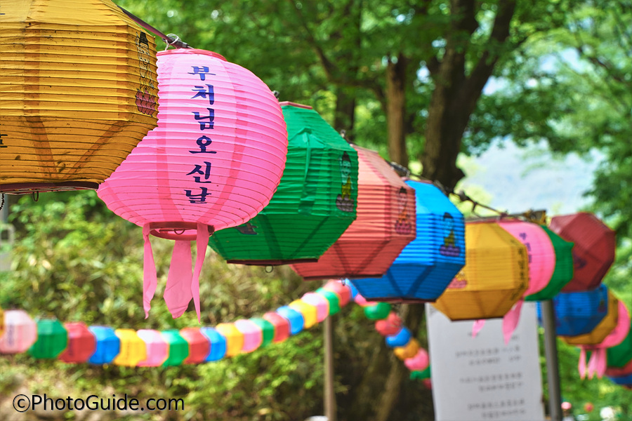 쌍계사-포토가이드