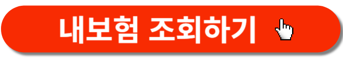 내보험찾아줌