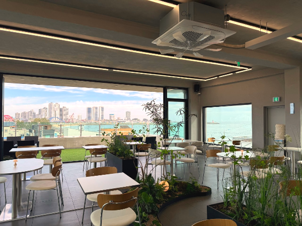 속초 카페 추천