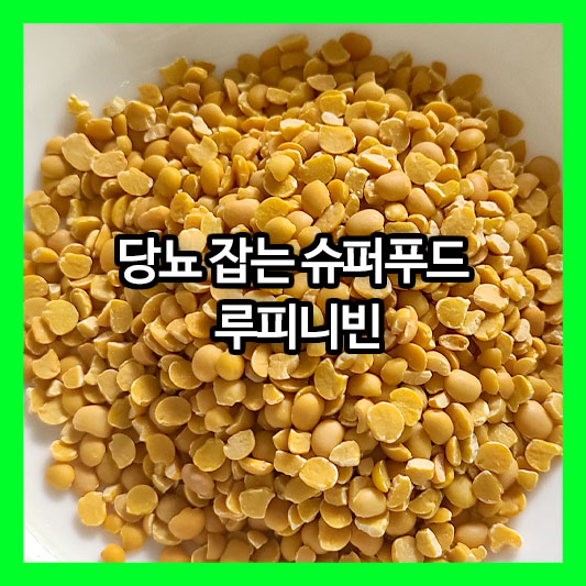 당뇨 잡는 슈퍼푸드 루피니빈! 건강한 밥 짓기와 먹는 법, 부작용까지 총정리