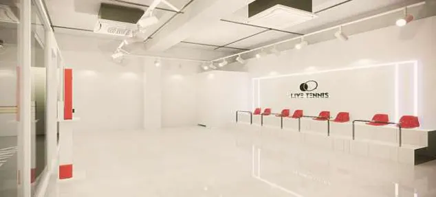 라이브테니스