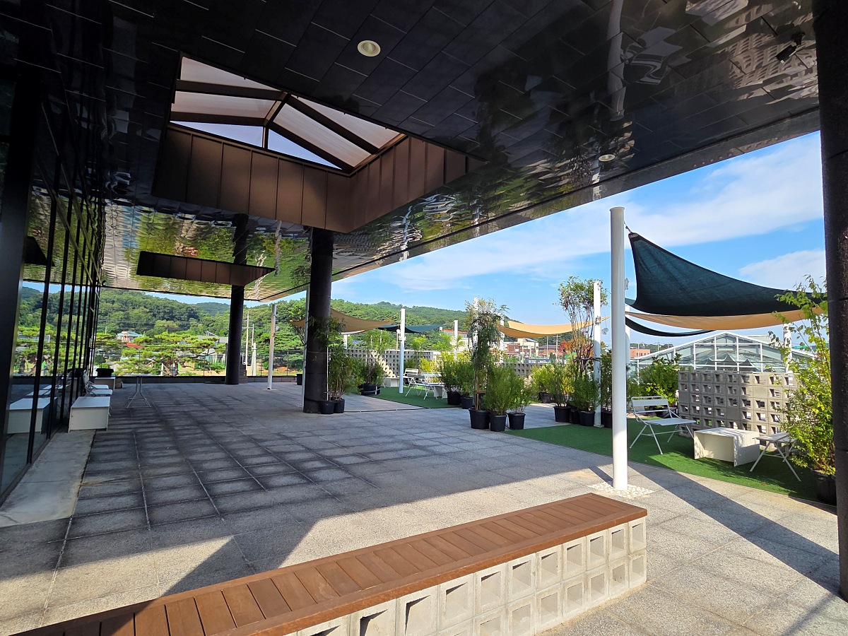 강화도 대형카페 두운리&amp;#44; 초록의 목수국 정원까지 즐기는 강화도 갈만한곳