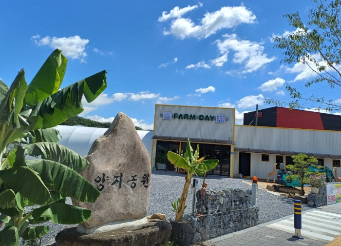 팜데이